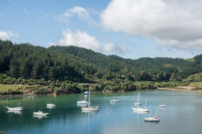 Sailboats in lake against sky