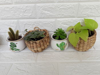 Potted plants in basket on table