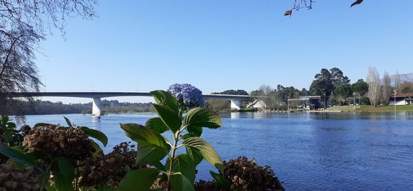 Scenic view of lake against clear blue sky