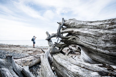 Full length of person standing on driftwood against sky