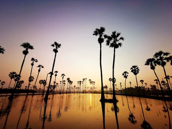 Silhouette palm trees by lake against sky during sunset