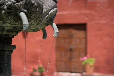 Close-up of statue against wall