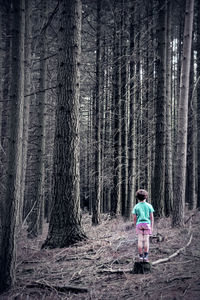 Full length rear view of girl standing in forest