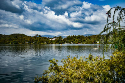 Scenic view of lake by trees against sky