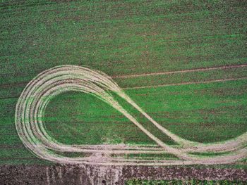 High angle view of rice field