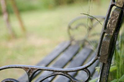 Close-up of grass