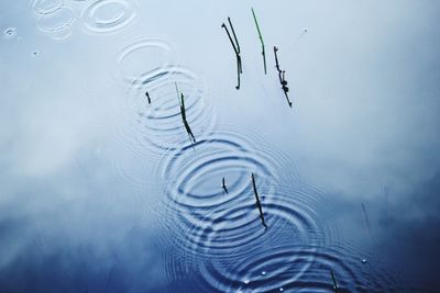 Close-up of water drop