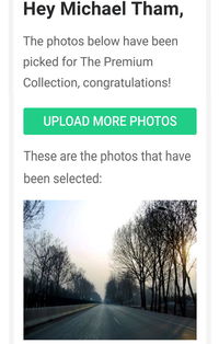 Road by bare trees in winter