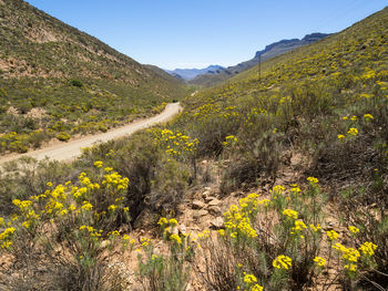 Scenic view of mountains against clear sky