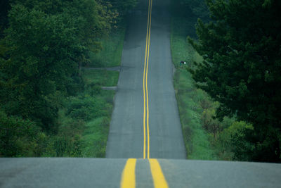 Road passing through forest