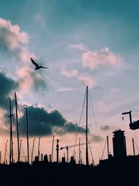 Low angle view of silhouette birds flying against sky