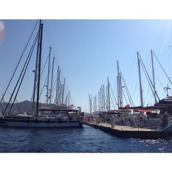 Boats in harbor