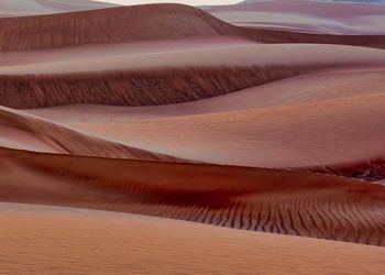 Scenic view of desert