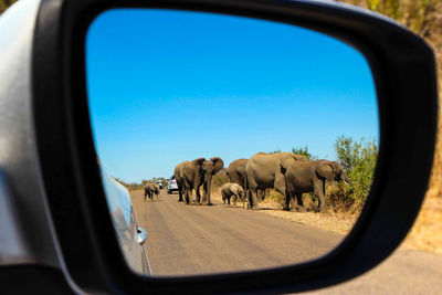 Scenic view of road seen through side-view mirror