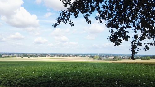 Scenic view of field against sky