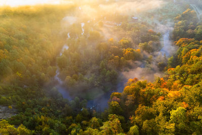 Aerial autumn fall sunrise view of foggy forest in vilnius, lithuania