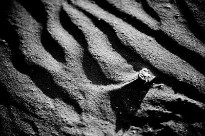 High angle view of a shadow on the ground