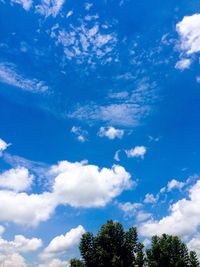 Low angle view of trees against cloudy sky
