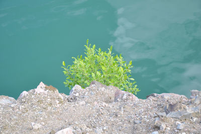 High angle view of rocks by sea