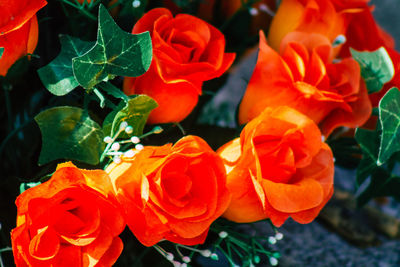 Close-up of red flowering plants