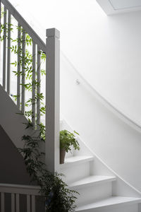 White staircase with plants