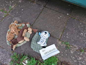 High angle view of stuffed toy on footpath