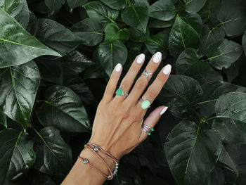 Cropped hand of woman wearing rings over leaves