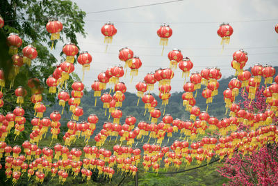 Low angle view of lanterns hanging against sky