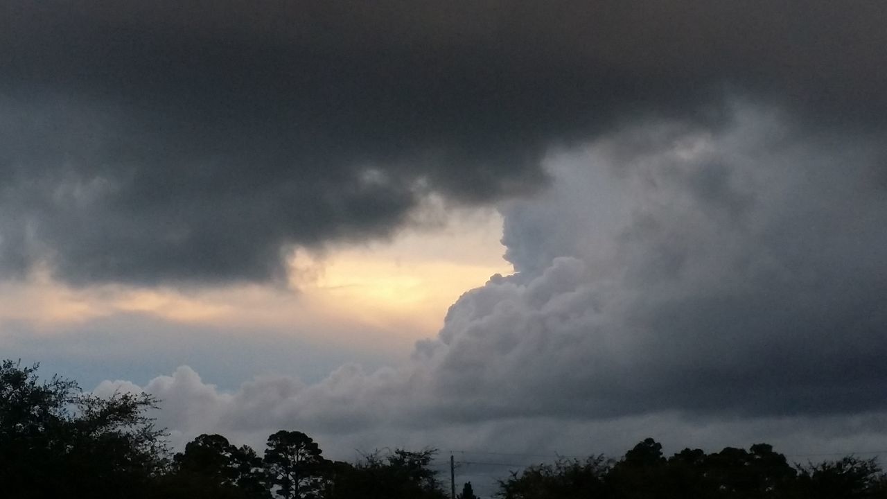 sky, low angle view, cloud - sky, tree, cloudy, silhouette, beauty in nature, tranquility, scenics, weather, overcast, nature, tranquil scene, storm cloud, cloudscape, cloud, dramatic sky, high section, dusk, idyllic