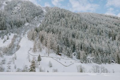 Snow covered land and trees against mountain