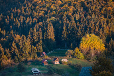 High angle view of trees during autumn