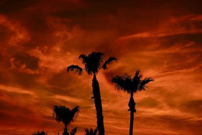 A silhouette of three palm trees against a brilliant orange toned sunset.