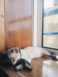 Cat sleeping on wooden floor