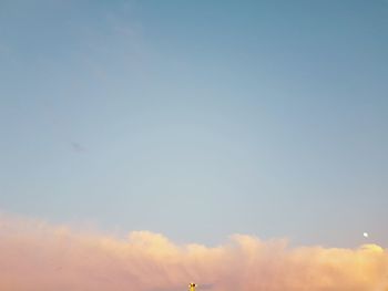 Low angle view of bird flying against sky