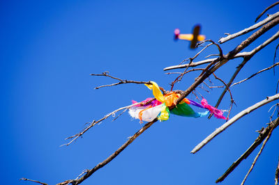 Close-up low angle view of colorful textile on branch against clear blue sky