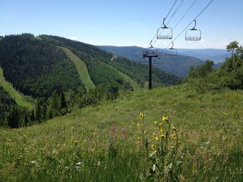 Landscape with mountain range in background