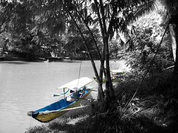 Boat moored on river by trees
