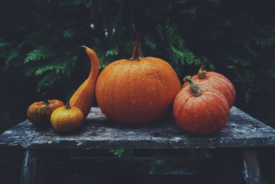 Close-up of wet pumpkins on table