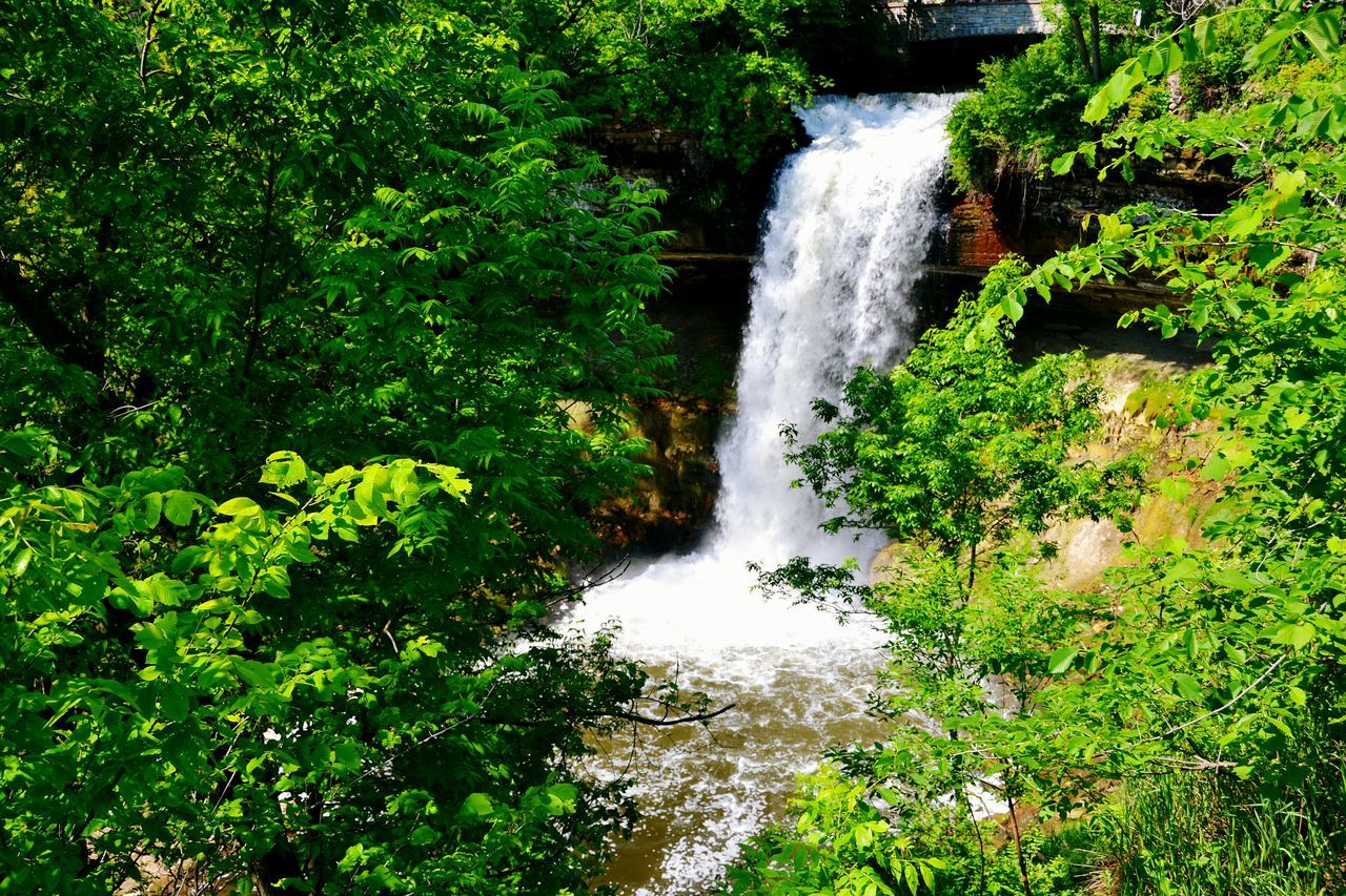 green color, water, nature, no people, growth, motion, beauty in nature, grass, scenics, day, outdoors, freshness, waterfall