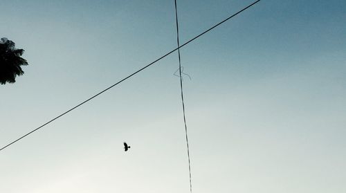 Low angle view of cross shape power lines against bird flying in clear sky