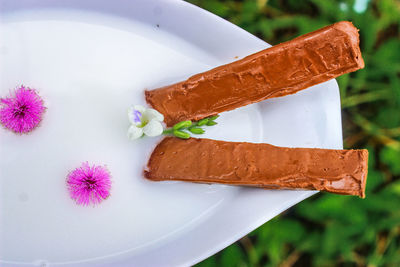 High angle view of ice cream in plate