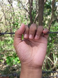 Close-up of hand holding plant