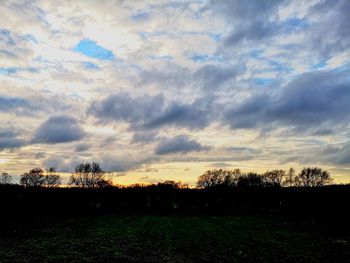 Silhouette plants on field against sky during sunset