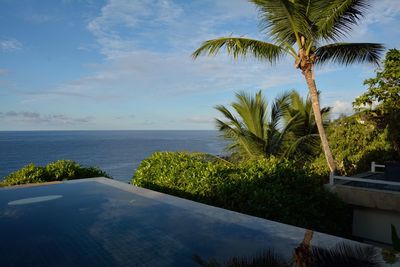 Palm trees by swimming pool against sky