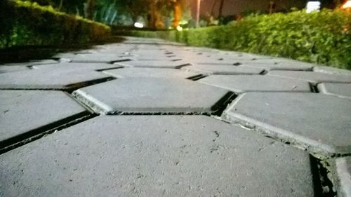 Surface level of empty road along trees