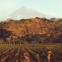 Scenic view of mountain road