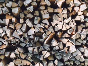 Full frame shot of logs in forest