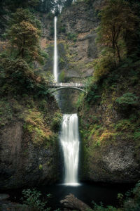 Scenic view of waterfall in forest