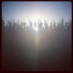Sun shining through clouds