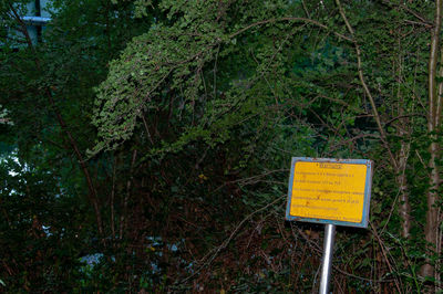 Information sign on plant in forest